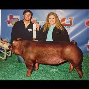 Meet your Posher, Chris